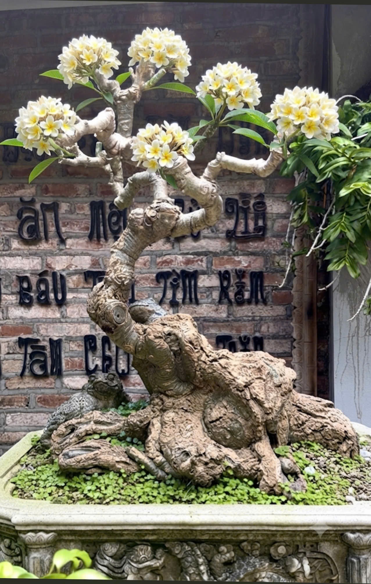 Nghệ nhân Ưu tú Tô Thanh Sơn – Người kể chuyện Bát Tràng bằng đất, lửa và cây Nghệ nhân Ưu tú Tô Thanh Sơn – Người kể chuyện Bát Tràng bằng đất, lửa và cây