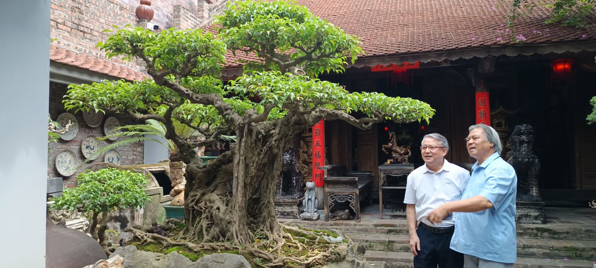 Nghệ nhân Ưu tú Tô Thanh Sơn – Người kể chuyện Bát Tràng bằng đất, lửa và cây Nghệ nhân Ưu tú Tô Thanh Sơn – Người kể chuyện Bát Tràng bằng đất, lửa và cây