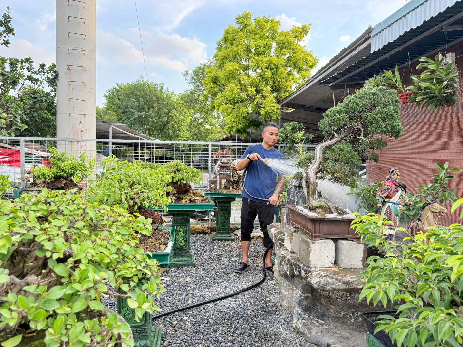 Zen Bonsai: Nơi gặp gỡ của những người yêu cây