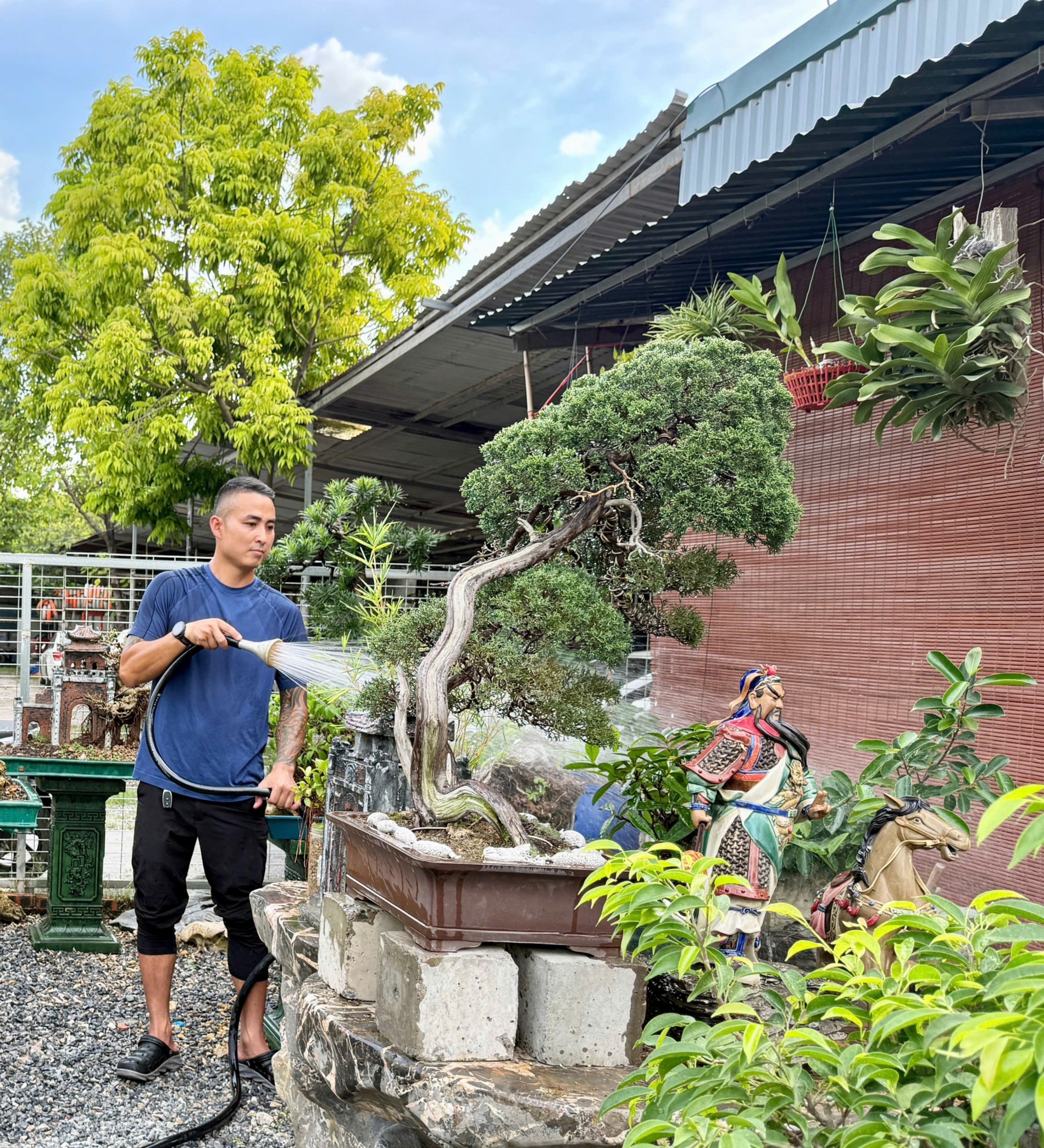 Zen Bonsai: Nơi gặp gỡ của những người yêu cây