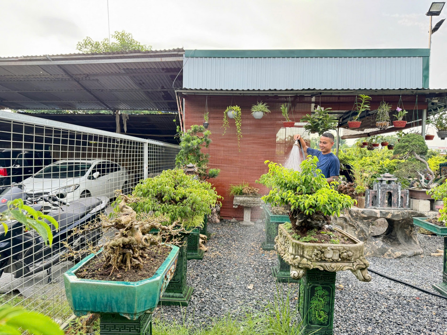 Zen Bonsai: Nơi gặp gỡ của những người yêu cây