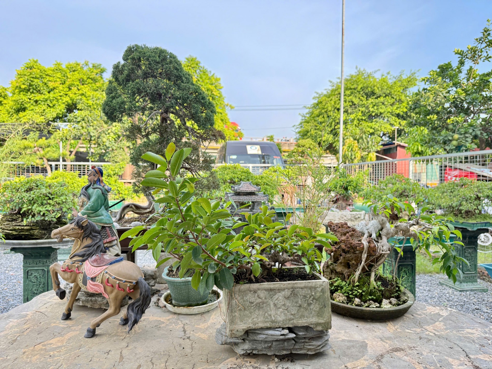 Zen Bonsai: Nơi gặp gỡ của những người yêu cây