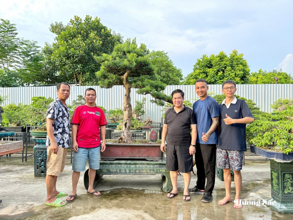 Zen Bonsai: Nơi gặp gỡ của những người yêu cây Zen Bonsai: Nơi gặp gỡ của những người yêu cây