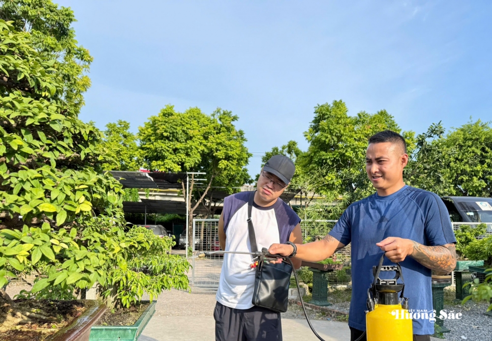 Zen Bonsai: Nơi gặp gỡ của những người yêu cây Zen Bonsai: Nơi gặp gỡ của những người yêu cây