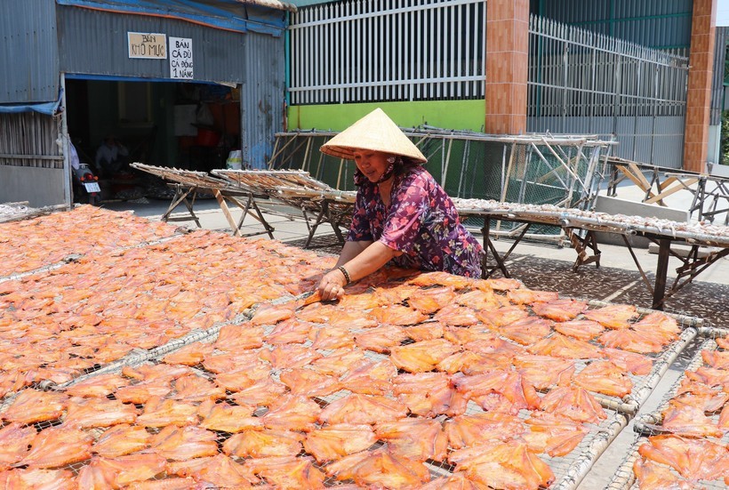 Hàng nghìn tấn cá về làng, nghề làm cá khô Gia Thuận ngày càng khởi sắ Hàng nghìn tấn cá về làng, nghề làm cá khô Gia Thuận ngày càng khởi sắ