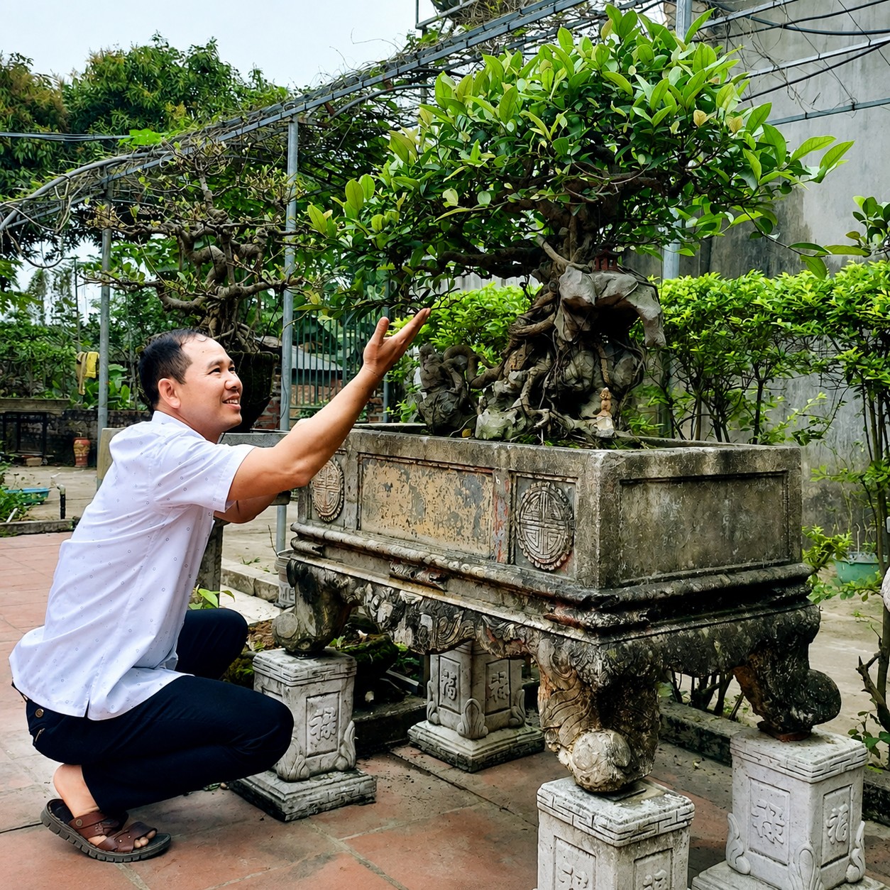 CLB Truyền thông Việt Nam hương sắc thăm, giao lưu tại vườn cây cảnh ở xã Vật Lại, Hà Nội CLB Truyền thông Việt Nam hương sắc thăm, giao lưu tại vườn cây cảnh ở xã Vật Lại, Hà Nội