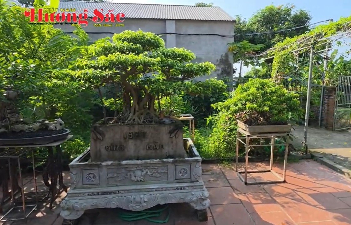 CLB Truyền thông Việt Nam hương sắc thăm, giao lưu tại vườn cây cảnh ở xã Vật Lại, Hà Nội