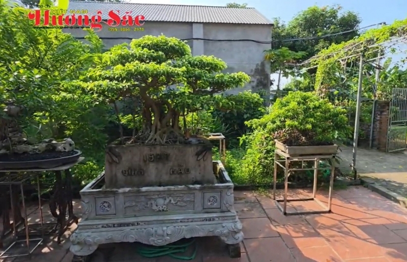 CLB Truyền thông Việt Nam hương sắc thăm, giao lưu tại vườn cây cảnh ở xã Vật Lại, Hà Nội