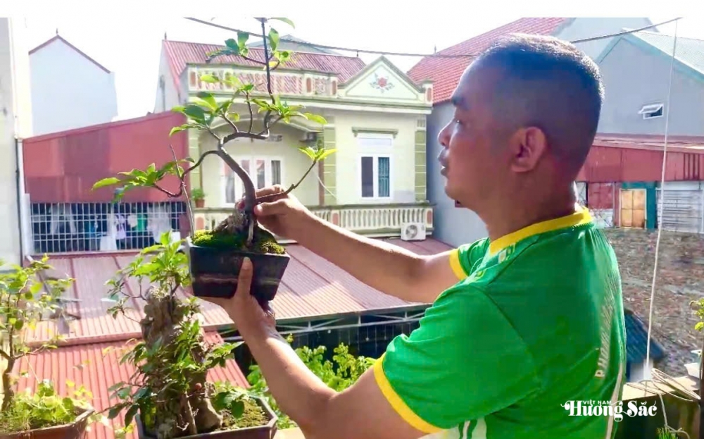Nguyễn Đức Long: Người thầy giáo vun mầm xanh, lan tỏa tình yêu bonsai Nguyễn Đức Long: Người thầy giáo vun mầm xanh, lan tỏa tình yêu bonsai