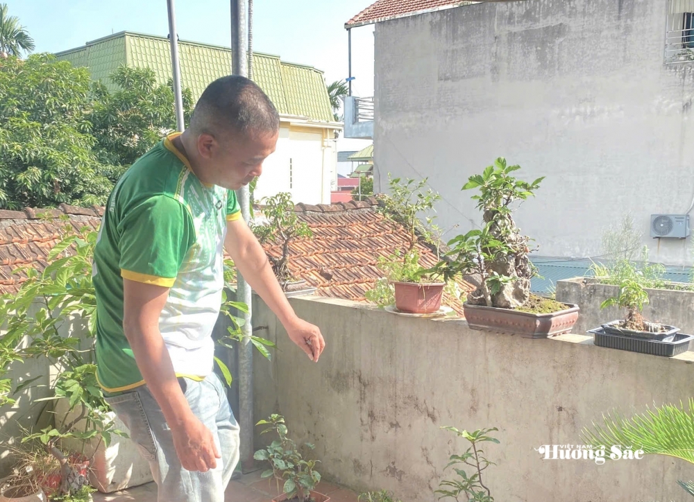 Nguyễn Đức Long: Người thầy giáo vun mầm xanh, lan tỏa tình yêu bonsai Nguyễn Đức Long: Người thầy giáo vun mầm xanh, lan tỏa tình yêu bonsai