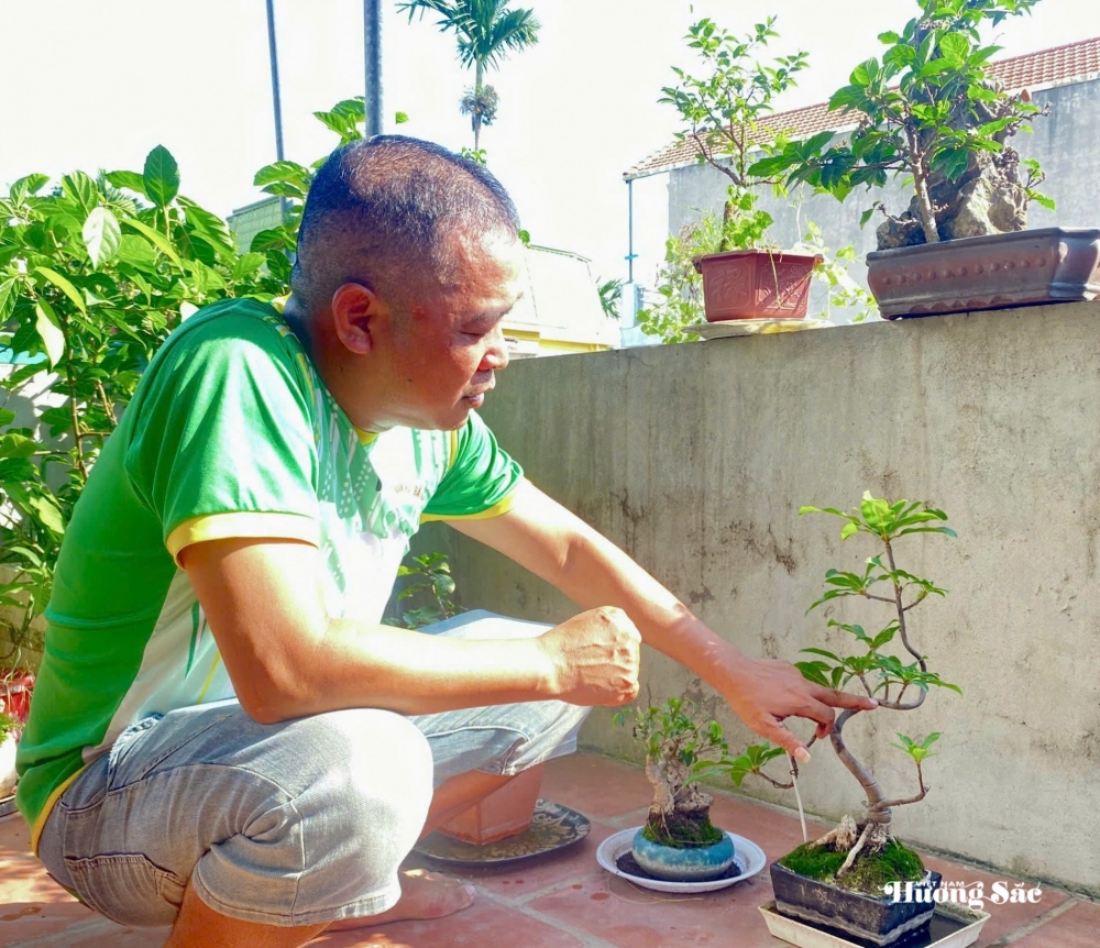 Nguyễn Đức Long: Người thầy giáo vun mầm xanh, lan tỏa tình yêu bonsai Nguyễn Đức Long: Người thầy giáo vun mầm xanh, lan tỏa tình yêu bonsai
