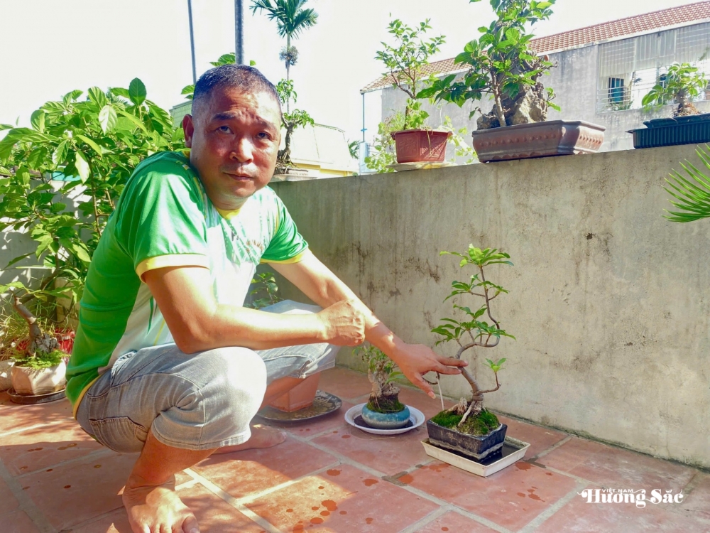 Nguyễn Đức Long: Người thầy giáo vun mầm xanh, lan tỏa tình yêu bonsai Nguyễn Đức Long: Người thầy giáo vun mầm xanh, lan tỏa tình yêu bonsai