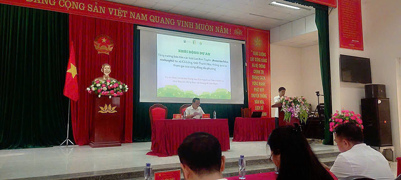 Bắt đầu hành trình bảo tồn Lan Kim tuyến tại Cổ Lũng