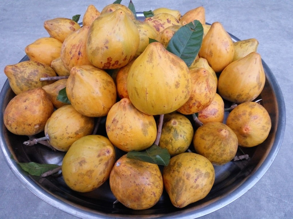 Từng bị chặt bỏ vì không có đầu ra, trái lêkima nay được làm thành loạt sản phẩm OCOP 4 sao ở Cần Thơ