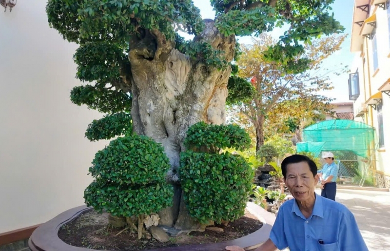 CLB Truyền thông Việt Nam hương sắc thăm, giao lưu tại vườn cảnh của nghệ nhân Nguyễn Tiến Ngữ