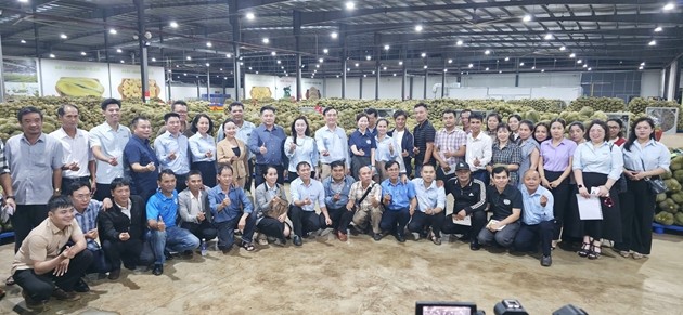 Khuyến nông vào cuộc, thúc đẩy quản lý mã số vùng trồng theo Nghị quyết 36 Khuyến nông vào cuộc, thúc đẩy quản lý mã số vùng trồng theo Nghị quyết 36