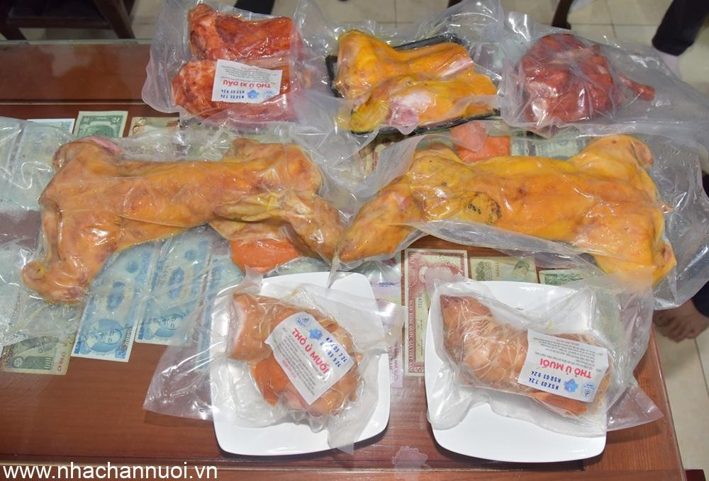 Định hướng phát triển chăn nuôi thỏ thành ngành hàng giá trị cao Định hướng phát triển chăn nuôi thỏ thành ngành hàng giá trị cao
