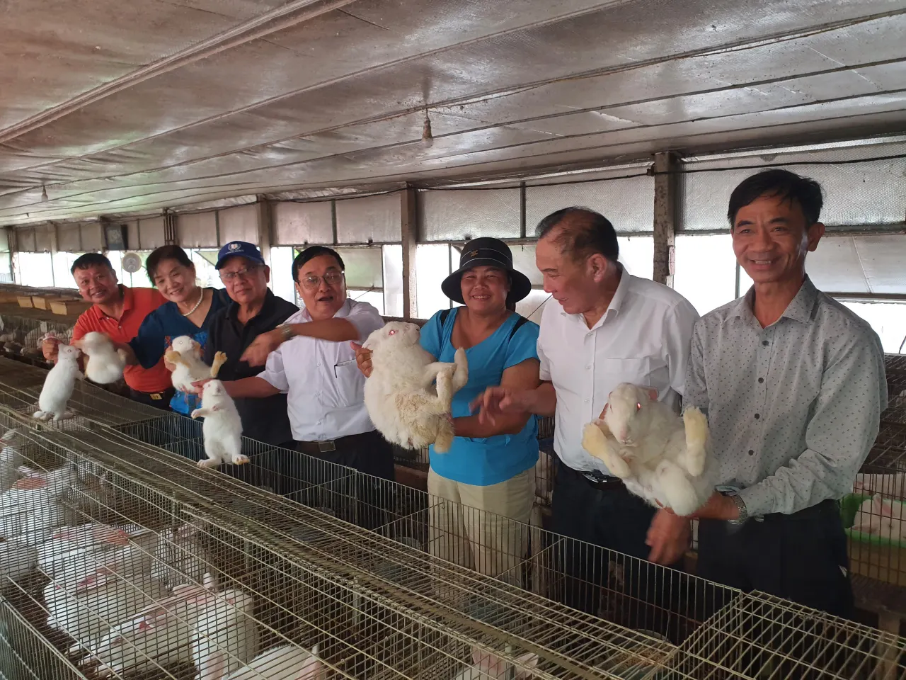 Định hướng phát triển chăn nuôi thỏ thành ngành hàng giá trị cao Định hướng phát triển chăn nuôi thỏ thành ngành hàng giá trị cao