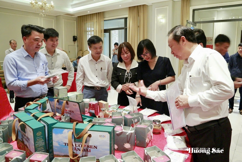 Hoa sen: Từ biểu tượng văn hóa đến ngành hàng đa giá trị Hoa sen: Từ biểu tượng văn hóa đến ngành hàng đa giá trị