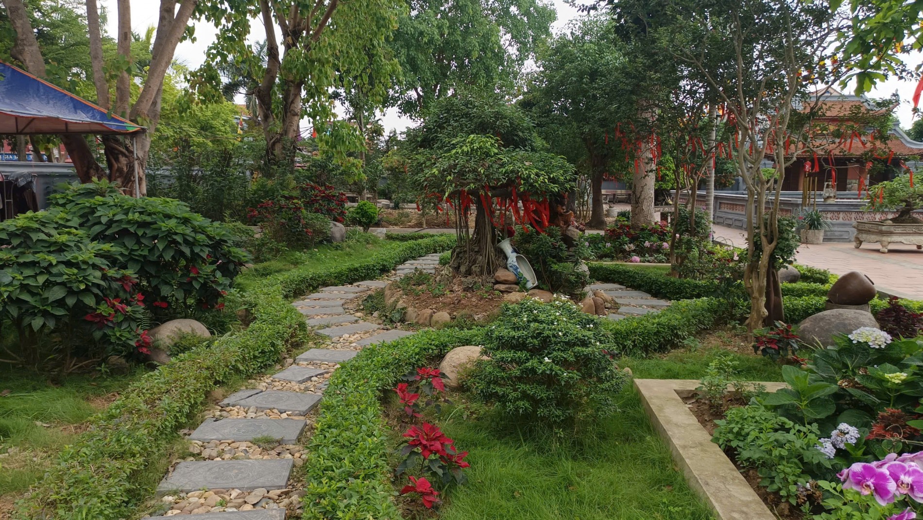 Phát huy giá trị Sinh vật cảnh trong hành trình xây dựng mục tiêu nông thôn hiện đại, bản sắc, bền vững Phát huy giá trị Sinh vật cảnh trong hành trình xây dựng mục tiêu nông thôn hiện đại, bản sắc, bền vững