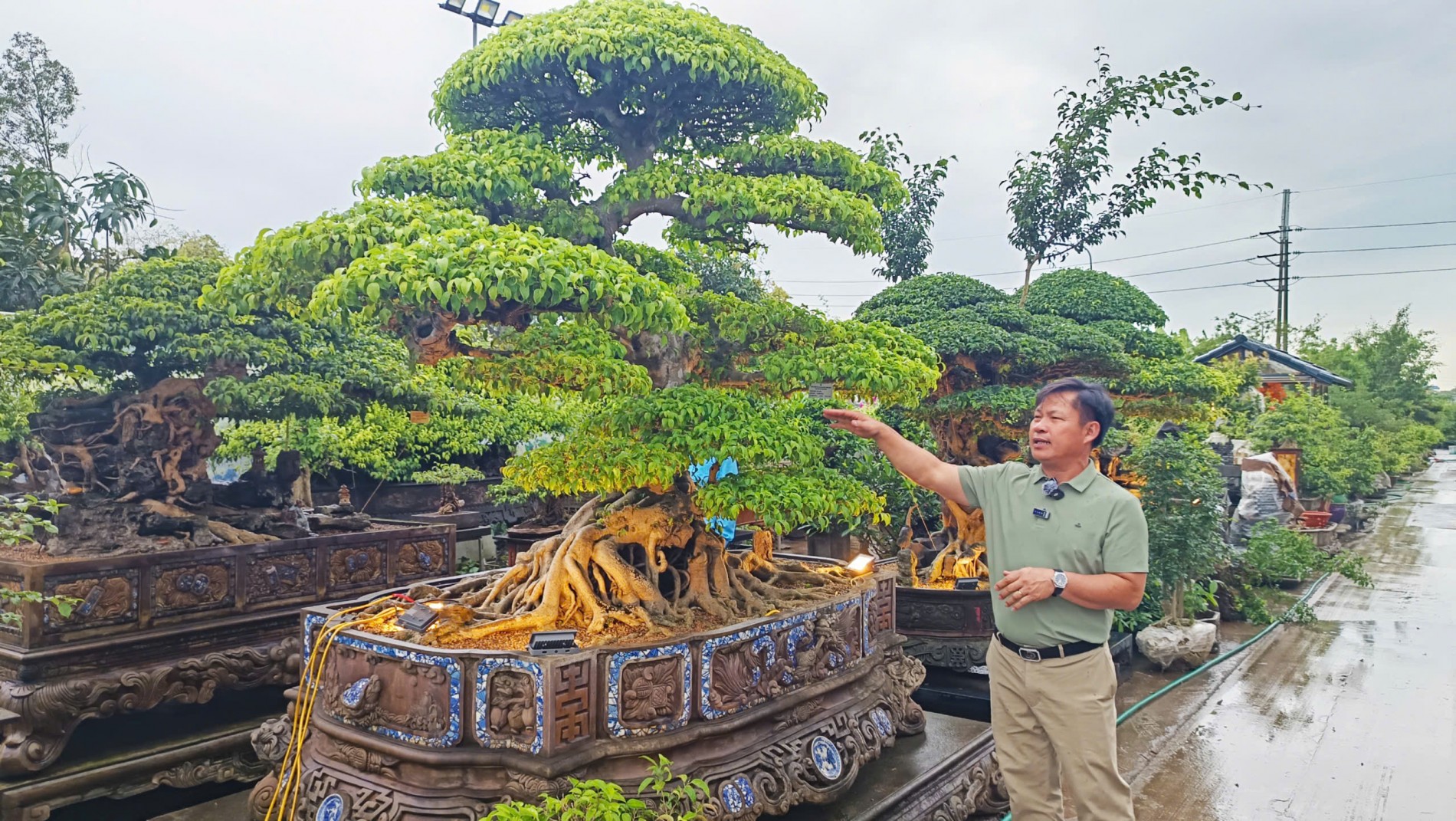 Phát huy giá trị Sinh vật cảnh trong hành trình xây dựng mục tiêu nông thôn hiện đại, bản sắc, bền vững Phát huy giá trị Sinh vật cảnh trong hành trình xây dựng mục tiêu nông thôn hiện đại, bản sắc, bền vững