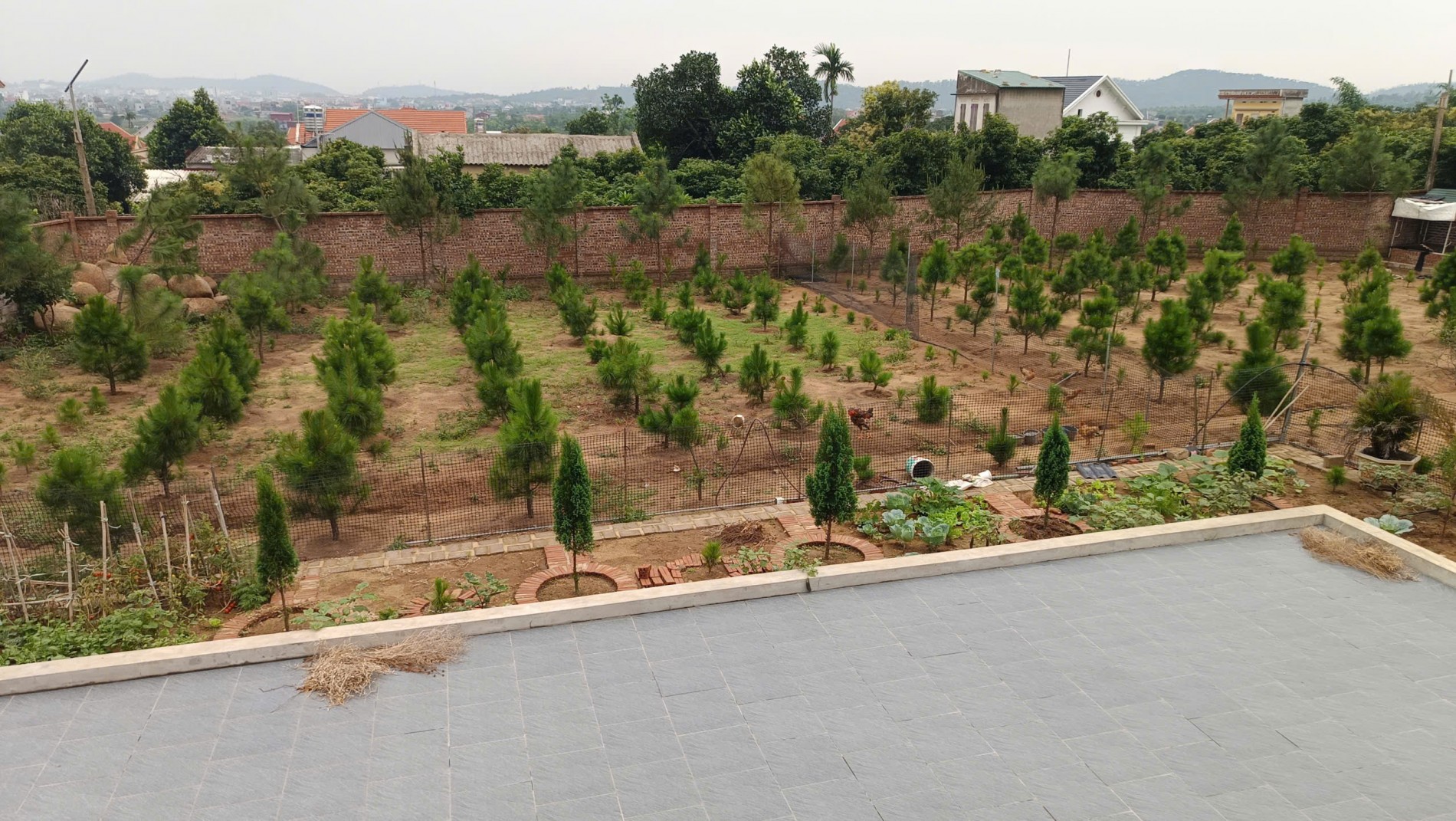 Phát huy giá trị Sinh vật cảnh trong hành trình xây dựng mục tiêu nông thôn hiện đại, bản sắc, bền vững Phát huy giá trị Sinh vật cảnh trong hành trình xây dựng mục tiêu nông thôn hiện đại, bản sắc, bền vững