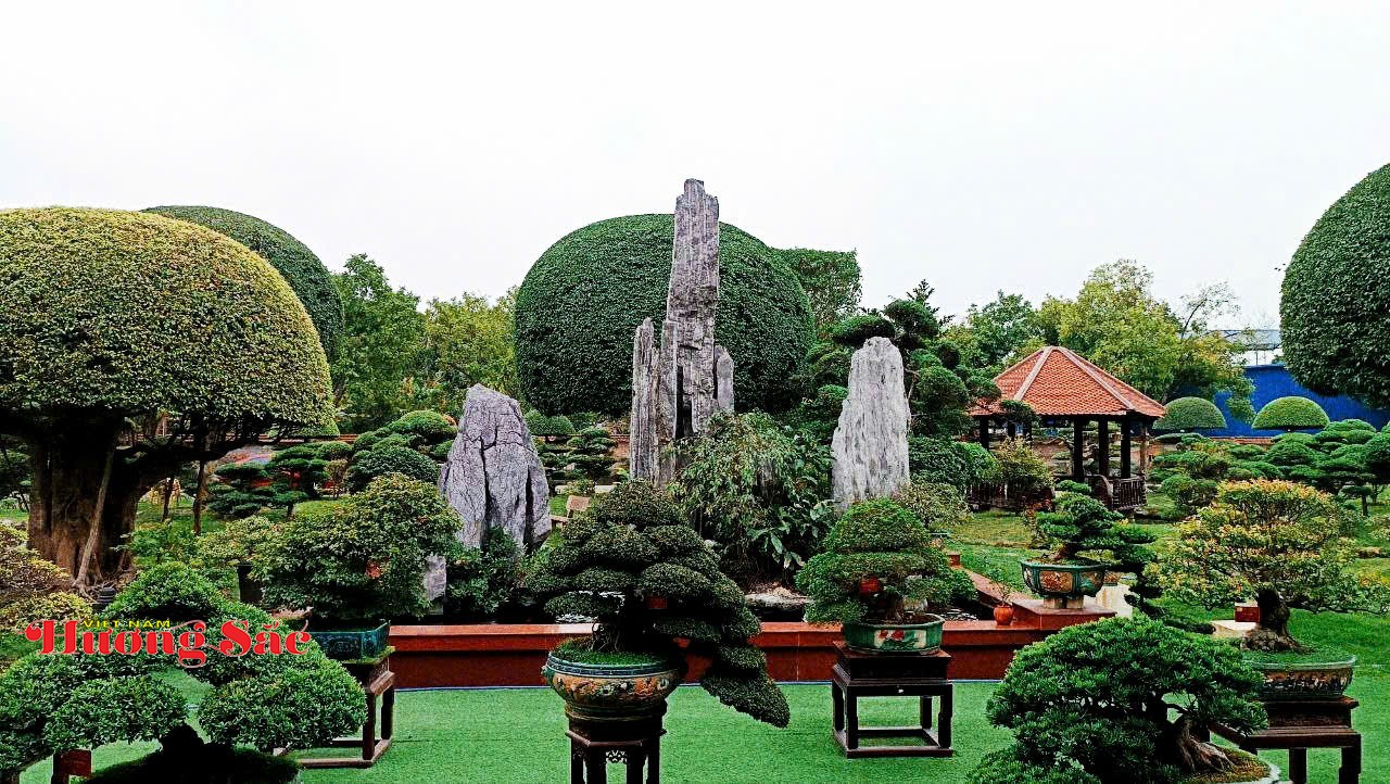 Phát huy giá trị Sinh vật cảnh trong hành trình xây dựng mục tiêu nông thôn hiện đại, bản sắc, bền vững Phát huy giá trị Sinh vật cảnh trong hành trình xây dựng mục tiêu nông thôn hiện đại, bản sắc, bền vững