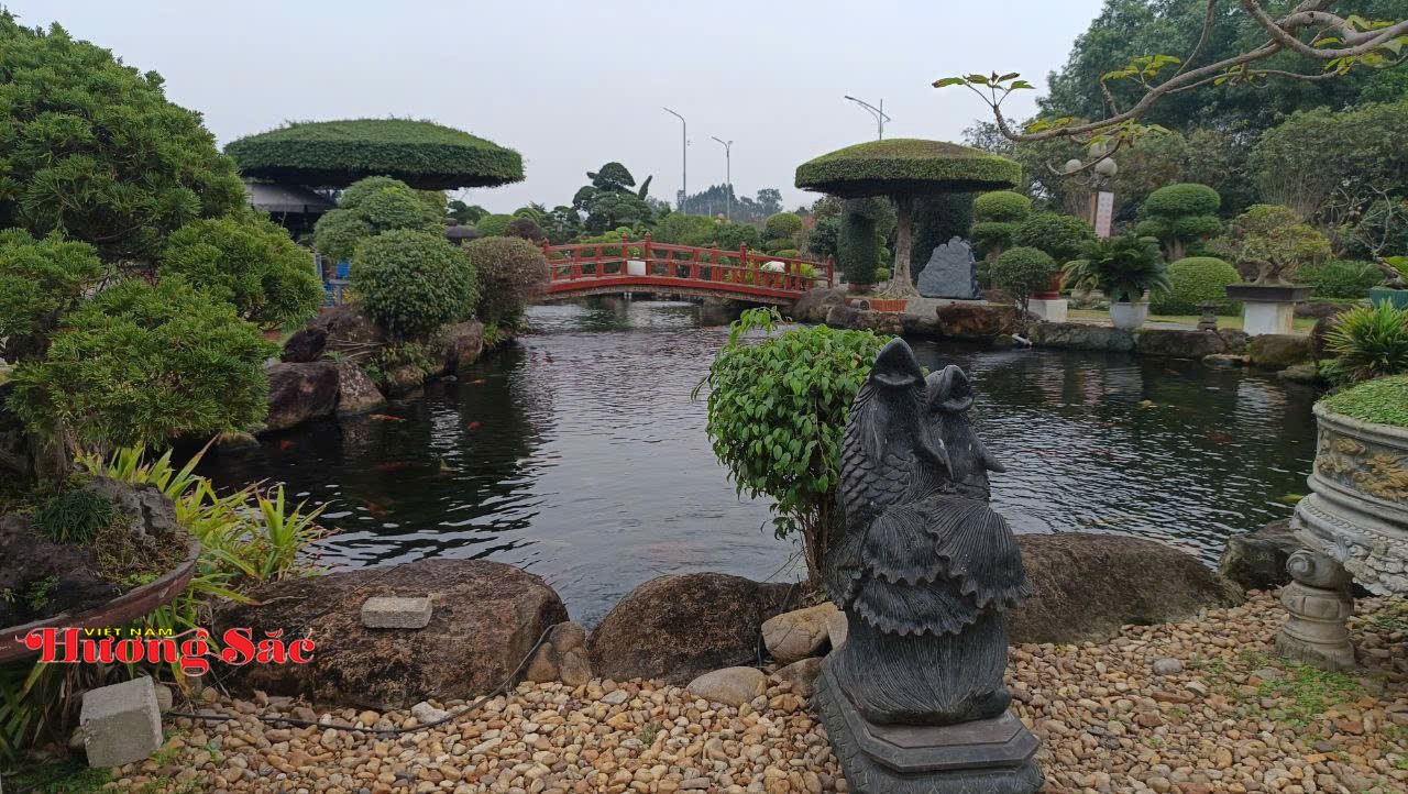Phát huy giá trị Sinh vật cảnh trong hành trình xây dựng mục tiêu nông thôn hiện đại, bản sắc, bền vững Phát huy giá trị Sinh vật cảnh trong hành trình xây dựng mục tiêu nông thôn hiện đại, bản sắc, bền vững