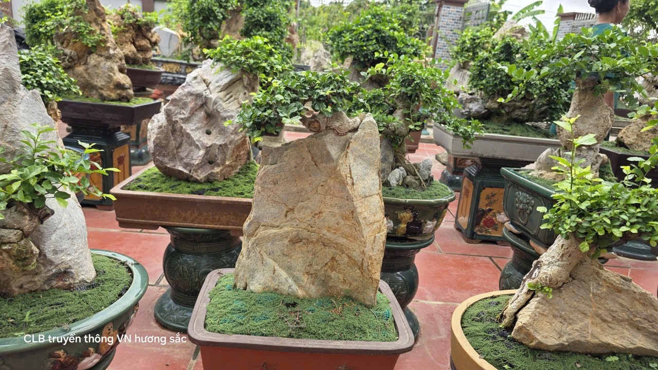Người phụ nữ U70 giữ lửa đam mê duối đá ở Phú Thọ Người phụ nữ U70 giữ lửa đam mê duối đá ở Phú Thọ