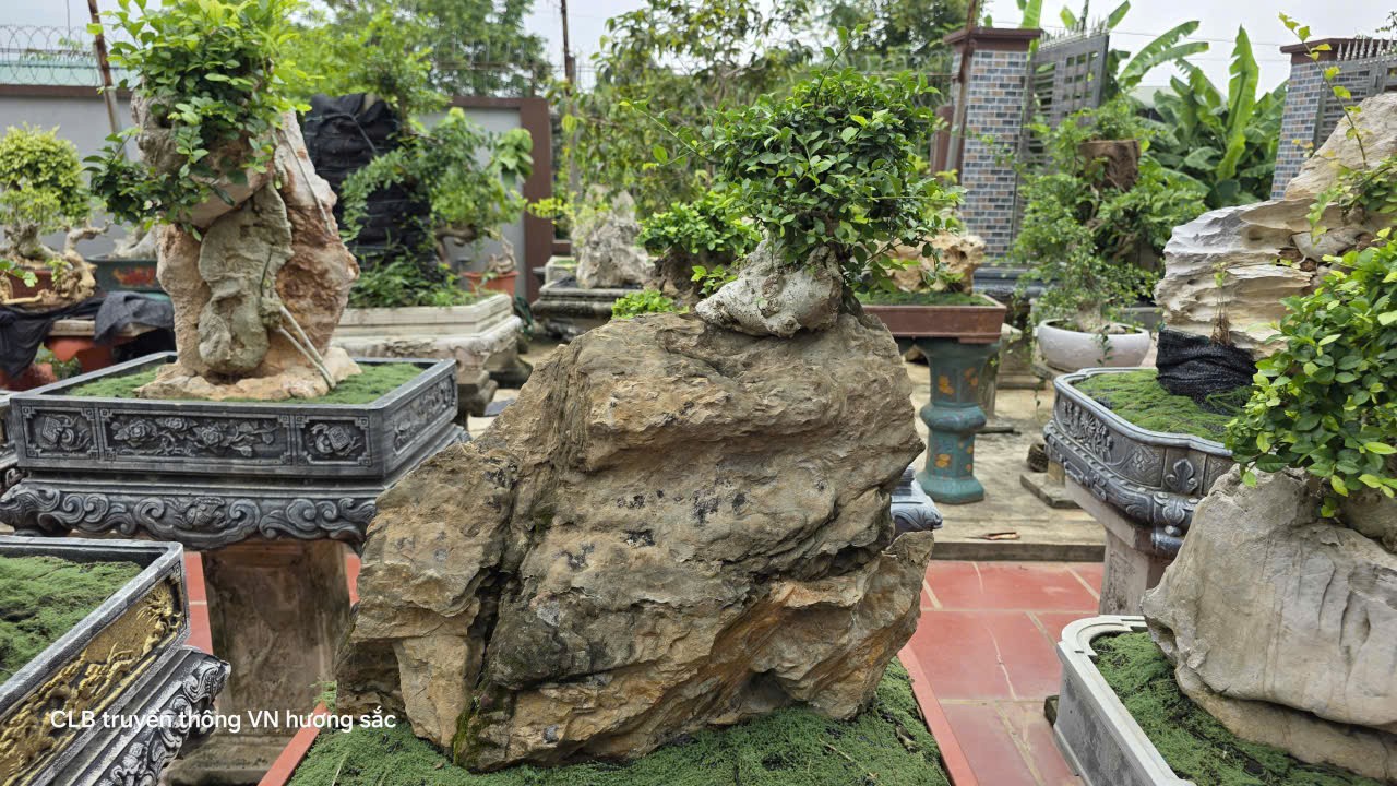 Người phụ nữ U70 giữ lửa đam mê duối đá ở Phú Thọ Người phụ nữ U70 giữ lửa đam mê duối đá ở Phú Thọ