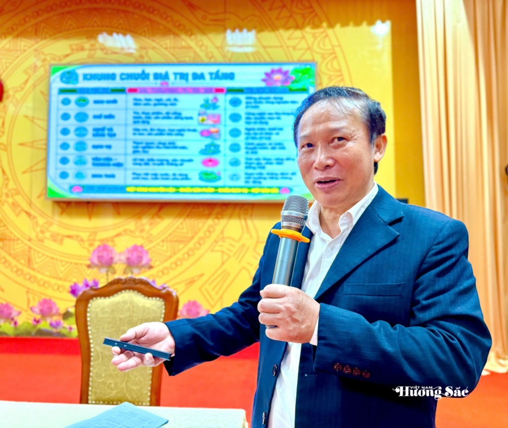 Sen Việt: Từ giá trị truyền thống đến ngành hàng đa giá trị Sen Việt: Từ giá trị truyền thống đến ngành hàng đa giá trị