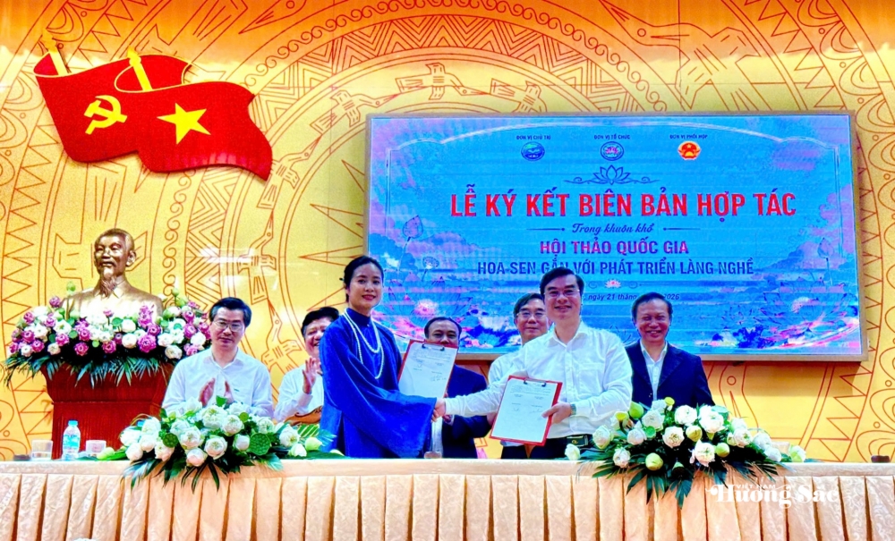 Sen Việt: Từ giá trị truyền thống đến ngành hàng đa giá trị Sen Việt: Từ giá trị truyền thống đến ngành hàng đa giá trị