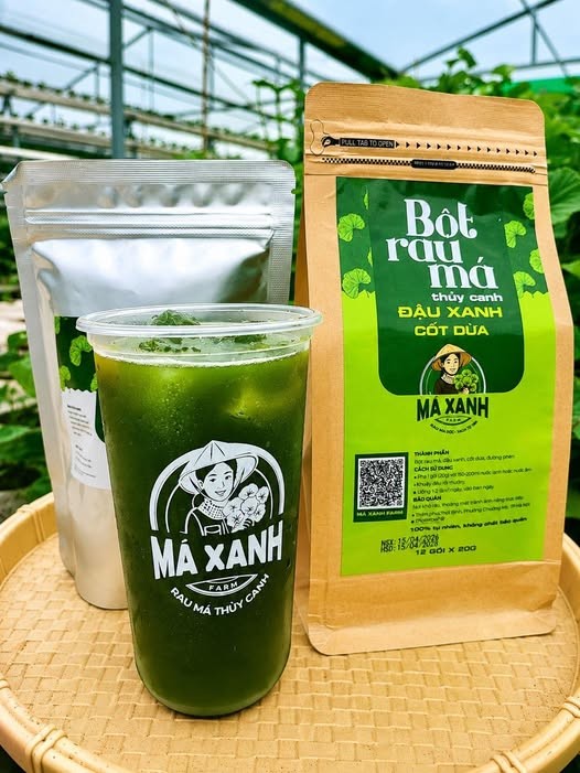 Nữ nông dân Hà Nội bỏ nghề hái ra tiền, về quê trồng rau má bằng công nghệ cao Nữ nông dân Hà Nội bỏ nghề hái ra tiền, về quê trồng rau má bằng công nghệ cao