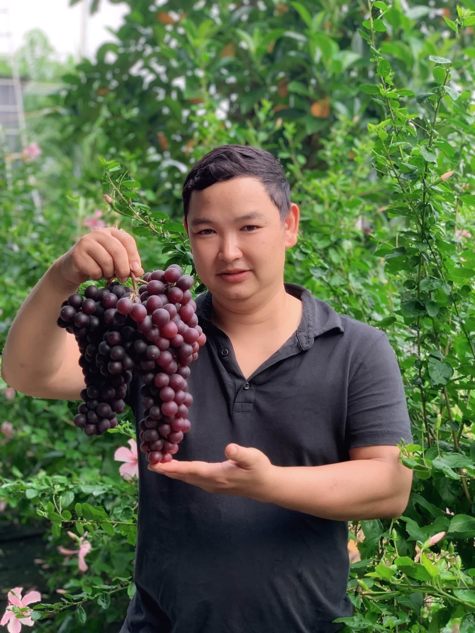 “Cú liều” với nho sữa giúp người đàn ông Hà Nội đổi đời “Cú liều” với nho sữa giúp người đàn ông Hà Nội đổi đời