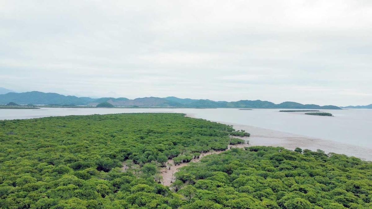 Quảng Ninh – từ tỉnh biên giới, biển đảo đến thành phố trực thuộc Trung ương: mở ra một chu kỳ phát triển mới Quảng Ninh – từ tỉnh biên giới, biển đảo đến thành phố trực thuộc Trung ương: mở ra một chu kỳ phát triển mới