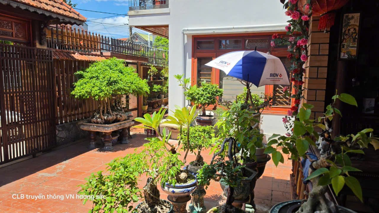 Về Quảng Trị, ghé ngôi nhà nơi cây cảnh và cổ vật kể chuyện thời gian Về Quảng Trị, ghé ngôi nhà nơi cây cảnh và cổ vật kể chuyện thời gian
