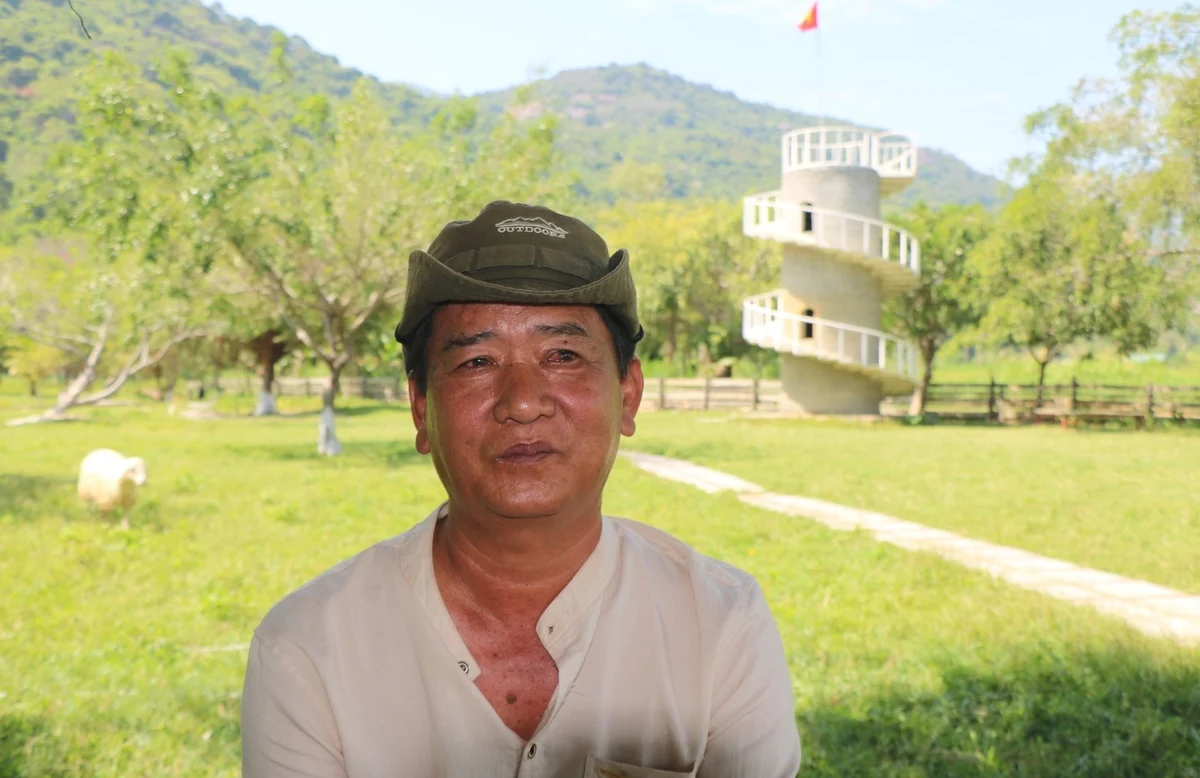 Đàn cừu “kéo” khách về trang trại, mở hướng làm du lịch từ nông nghiệp Đàn cừu “kéo” khách về trang trại, mở hướng làm du lịch từ nông nghiệp