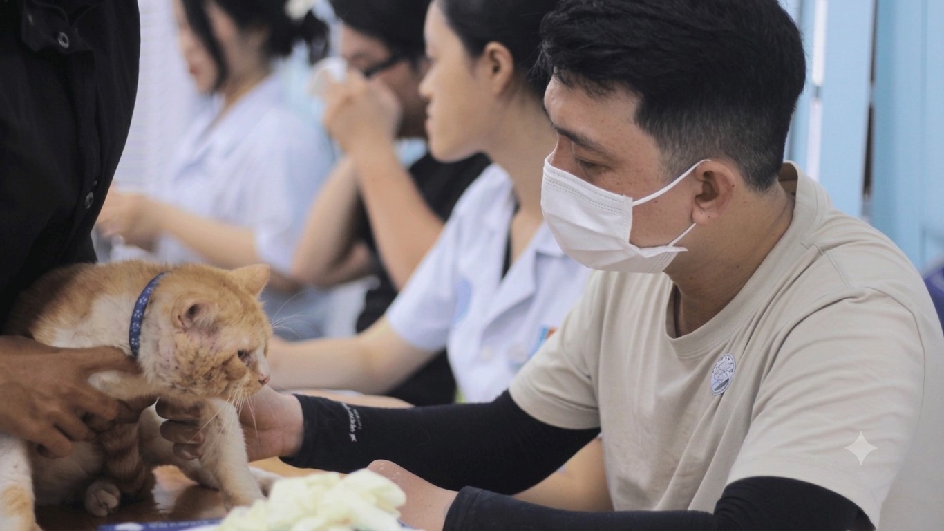 100 chú mèo được triệt sản miễn phí, lan tỏa thông điệp nuôi thú cưng có trách nhiệm
