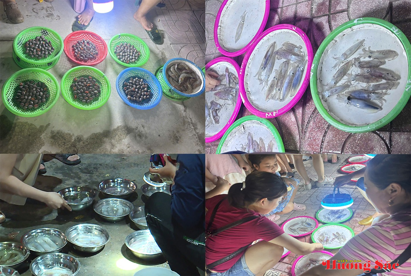 Đặc sản chợ đêm Cửa Lò bán theo mớ, hút khách trải nghiệm giữa lòng phố biển