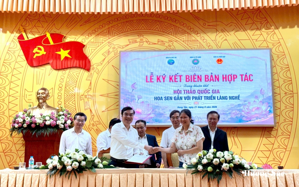 Phát triển sen Việt: Cần một hệ sinh thái liên kết Phát triển sen Việt: Cần một hệ sinh thái liên kết
