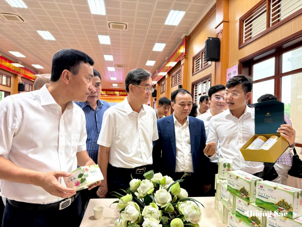 Phát triển sen Việt: Cần một hệ sinh thái liên kết Phát triển sen Việt: Cần một hệ sinh thái liên kết