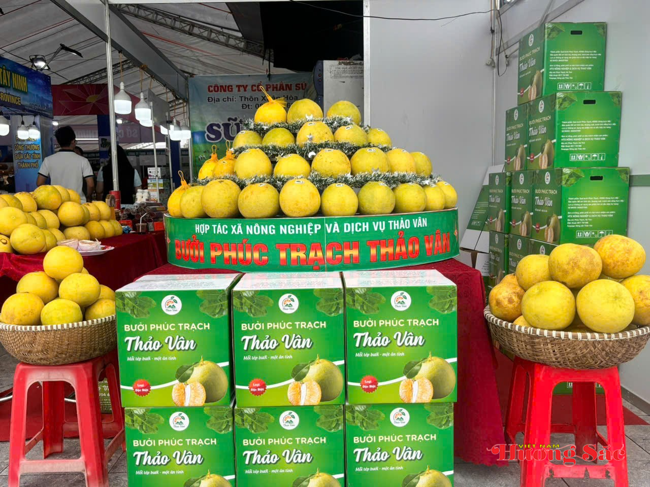 Hơn 300 gian hàng sản phẩm CNNT miền Trung - Tây Nguyên tham gia Hội chợ tại Hà Tĩnh Hơn 300 gian hàng sản phẩm CNNT miền Trung - Tây Nguyên tham gia Hội chợ tại Hà Tĩnh