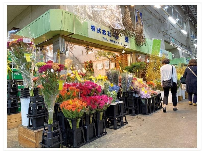 Ota, Đấu Nam, Pak Khlong Talat: Ba sắc thái của chợ hoa châu Á Ota, Đấu Nam, Pak Khlong Talat: Ba sắc thái của chợ hoa châu Á