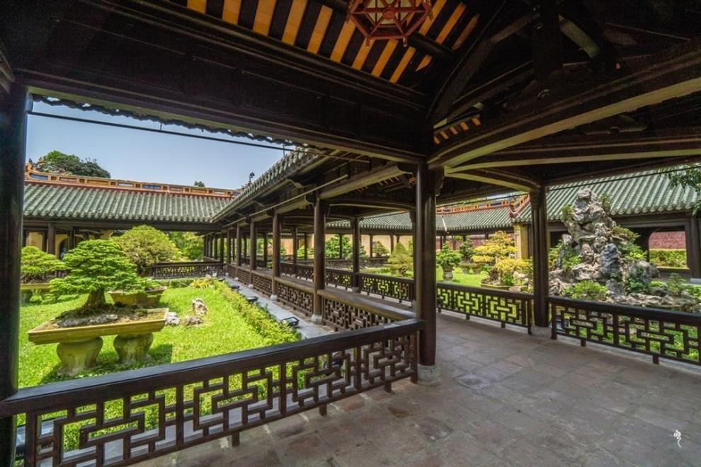 Dấu xưa thú chơi cây cảnh trong cung đình triều Nguyễn Dấu xưa thú chơi cây cảnh trong cung đình triều Nguyễn