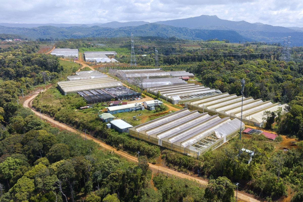 Măng Đen dừng dự án nông nghiệp công nghệ cao sau gần 10 năm triển khai Măng Đen dừng dự án nông nghiệp công nghệ cao sau gần 10 năm triển khai