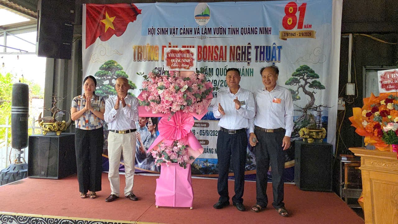 Quảng Ninh: Khai mạc Trưng bày, thi Bonsai nghệ thuật lần thứ 2 năm 2026 Quảng Ninh: Khai mạc Trưng bày, thi Bonsai nghệ thuật lần thứ 2 năm 2026