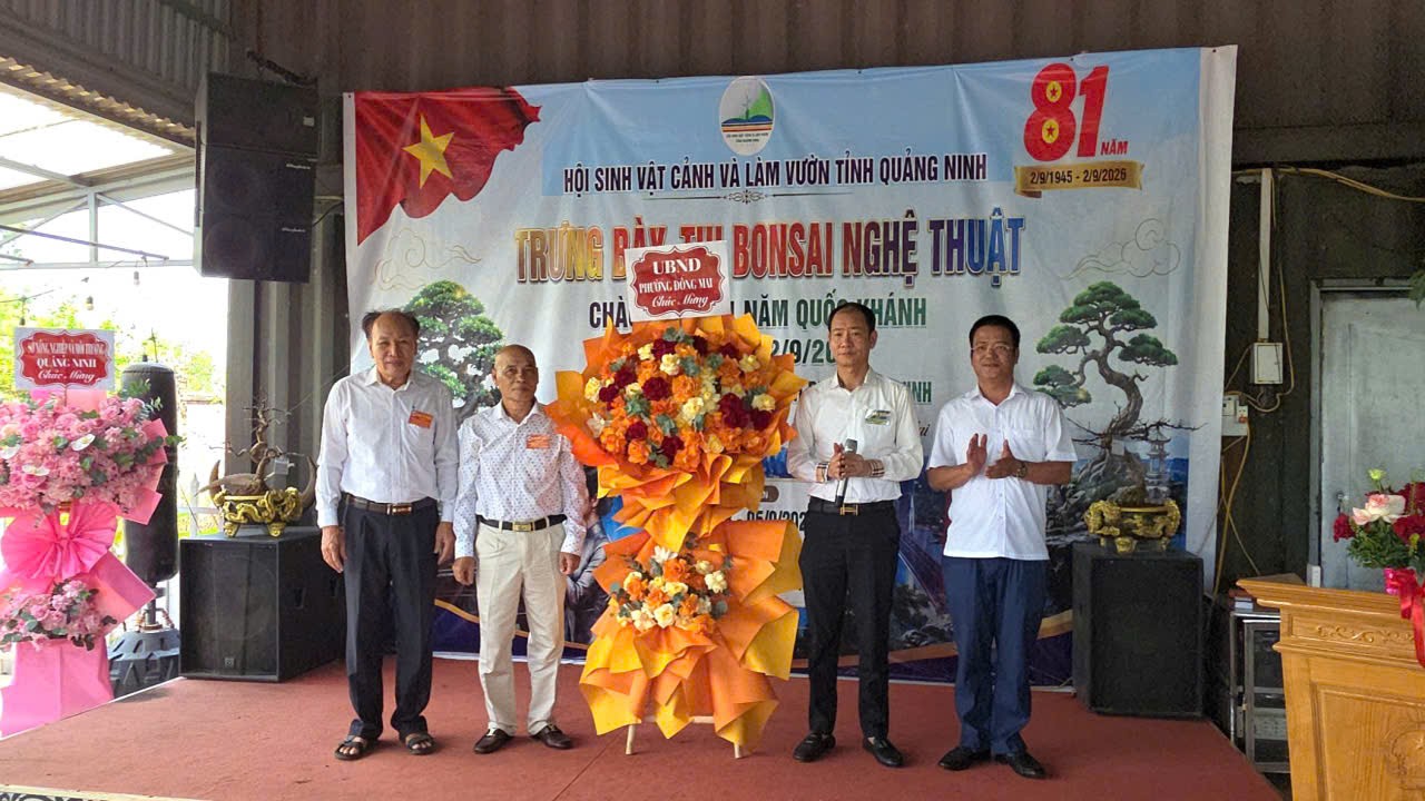Quảng Ninh: Khai mạc Trưng bày, thi Bonsai nghệ thuật lần thứ 2 năm 2026 Quảng Ninh: Khai mạc Trưng bày, thi Bonsai nghệ thuật lần thứ 2 năm 2026