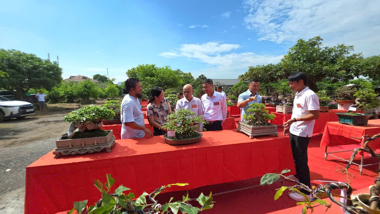 Quảng Ninh: Khai mạc Trưng bày, thi Bonsai nghệ thuật lần thứ 2 năm 2026 Quảng Ninh: Khai mạc Trưng bày, thi Bonsai nghệ thuật lần thứ 2 năm 2026