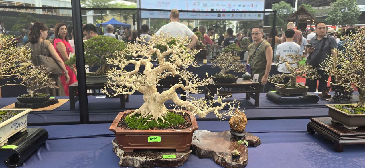 Hội Sinh vật cảnh Việt Nam tham dự Triển lãm Bonsai Thế giới tại Malaysia Hội Sinh vật cảnh Việt Nam tham dự Triển lãm Bonsai Thế giới tại Malaysia