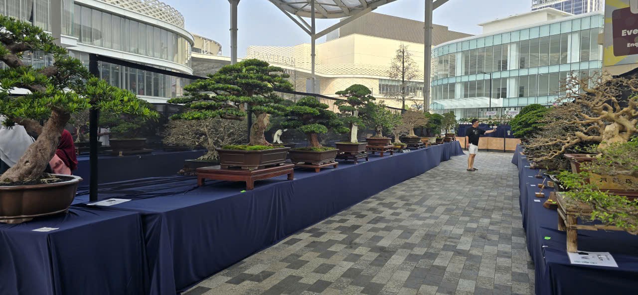 Hội Sinh vật cảnh Việt Nam tham dự Triển lãm Bonsai Thế giới tại Malaysia Hội Sinh vật cảnh Việt Nam tham dự Triển lãm Bonsai Thế giới tại Malaysia